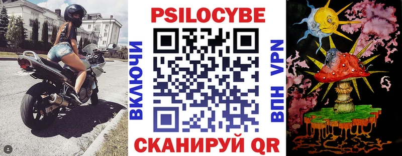 Псилоцибиновые грибы Psilocybine cubensis  Купить  Конаково 