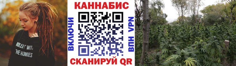 Марихуана OG Kush Конаково
